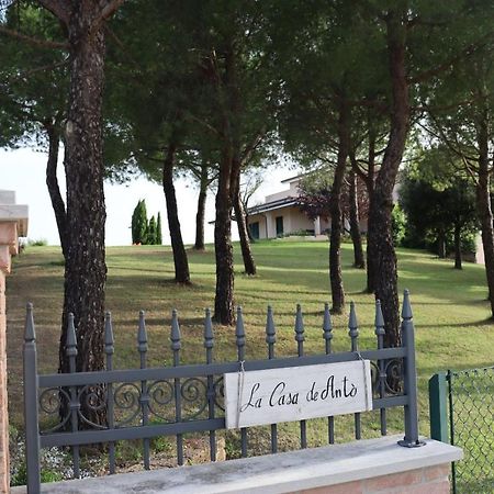 Torre San PatrizioLa Casa De Anto'アパートメント エクステリア 写真